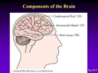 Components of the Brain
Fig. 55-1
 