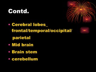 Contd. Cerebral lobes_ frontal/temporal/occipital/ parietal Mid brain Brain stem cerebellum 