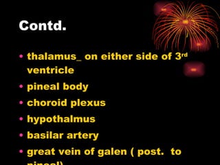 Contd. thalamus_ on either side of 3 rd  ventricle pineal body choroid plexus hypothalmus basilar artery great vein of galen ( post.  to pineal) 