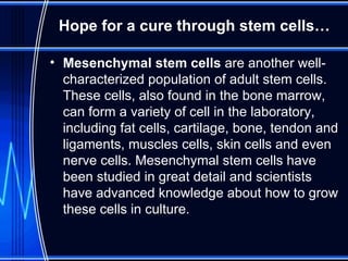 Hope for a cure through stem cells… Mesenchymal stem cells  are another well-characterized population of adult stem cells. These cells, also found in the bone marrow, can form a variety of cell in the laboratory, including fat cells, cartilage, bone, tendon and ligaments, muscles cells, skin cells and even nerve cells. Mesenchymal stem cells have been studied in great detail and scientists have advanced knowledge about how to grow these cells in culture.  