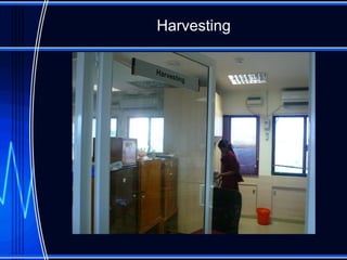 Harvesting 