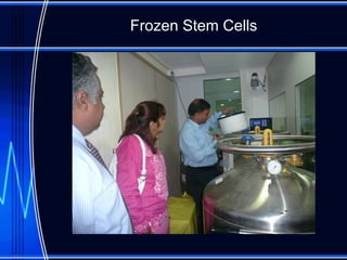 Frozen Stem Cells 