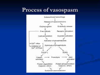 Process of vasospasm
 