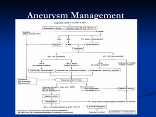 Aneurysm Management
 