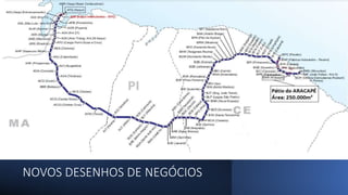 NOVOS DESENHOS DE NEGÓCIOS
 