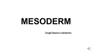 MESODERM
GoogleClassroomcode:tkendnz
 