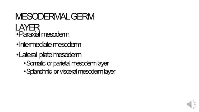 Intraembryonic mesoderm | PPTX