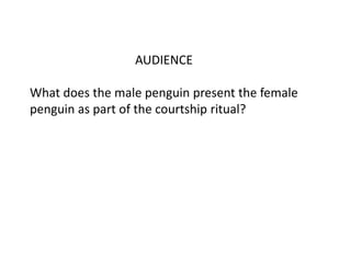 AUDIENCE

What does the male penguin present the female
penguin as part of the courtship ritual?

 
