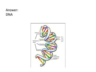 Answer:
DNA

 