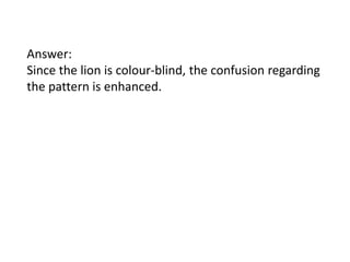 Answer:
Since the lion is colour-blind, the confusion regarding
the pattern is enhanced.

 