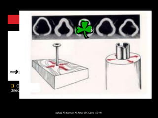 ❑ Compressible in two directions
❑ Directions right angles to each
other
V Nail Clover Leaf Nail
❑ Compressible in only one
direction
bahaa Ali Kornah-Al-Azhar Un. Cairo -EGYPT
 