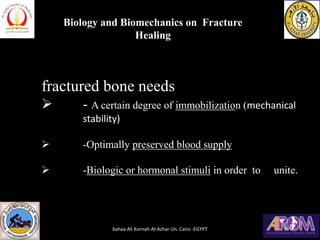 fractured bone needs
➢ - A certain degree of immobilization (mechanical
stability)
➢ -Optimally preserved blood supply
➢ -Biologic or hormonal stimuli in order to unite.
bahaa Ali Kornah-Al-Azhar Un. Cairo -EGYPT
Biology and Biomechanics on Fracture
Healing
 