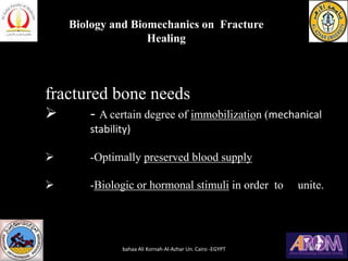 fractured bone needs
➢ - A certain degree of immobilization (mechanical
stability)
➢ -Optimally preserved blood supply
➢ -...