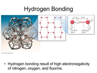 Hydrogen Bonding
• Hydrogen bonding result of high electronegativity
of nitrogen, oxygen, and fluorine.
 