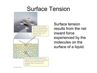 Surface Tension
Surface tension
results from the net
inward force
experienced by the
molecules on the
surface of a liquid.
 