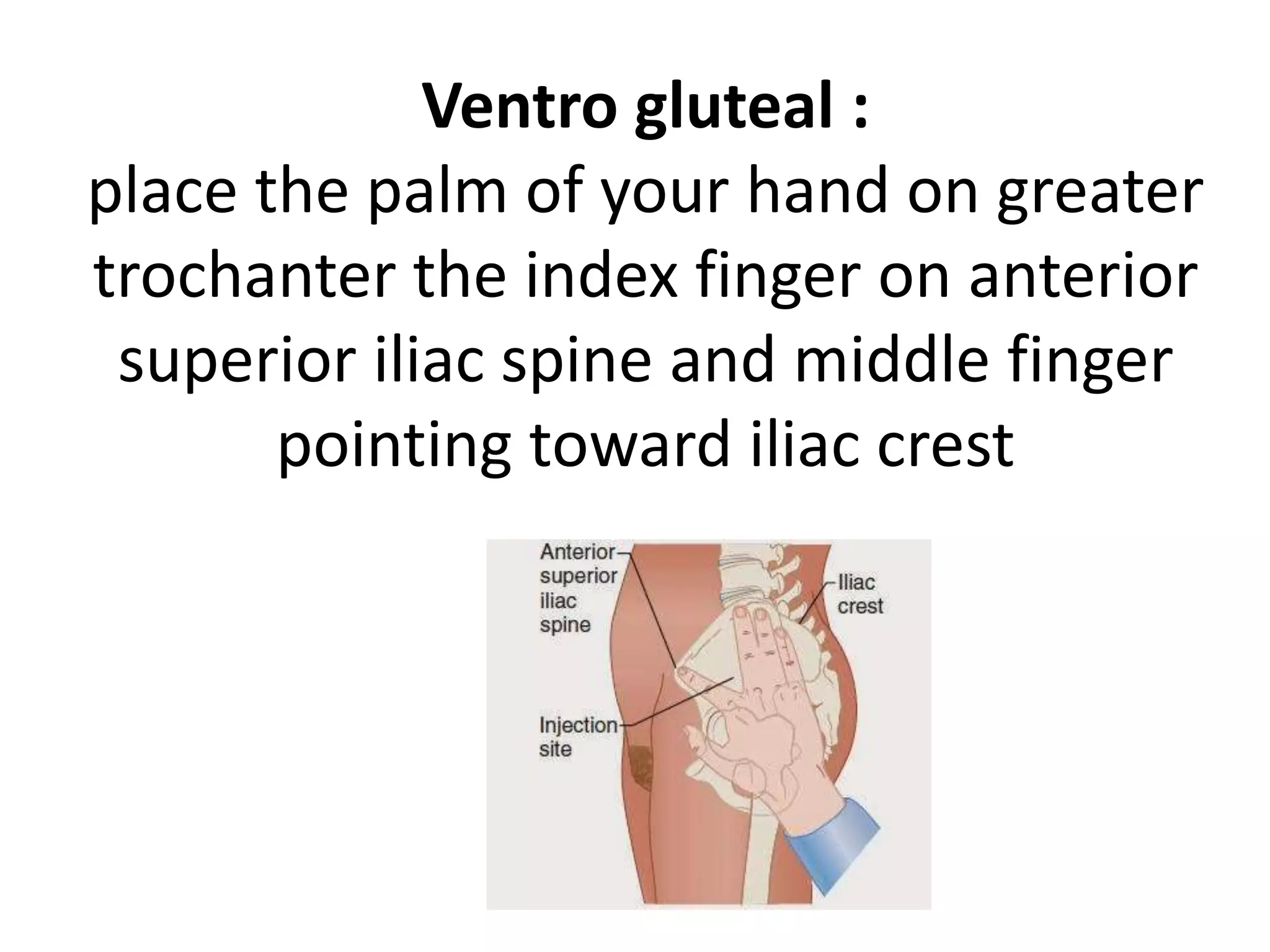 Ventro gluteal :
place the palm of your hand on greater
trochanter the index finger on anterior
superior iliac spine and middle finger
pointing toward iliac crest
 