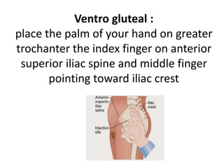 Ventro gluteal :
place the palm of your hand on greater
trochanter the index finger on anterior
superior iliac spine and middle finger
pointing toward iliac crest
 