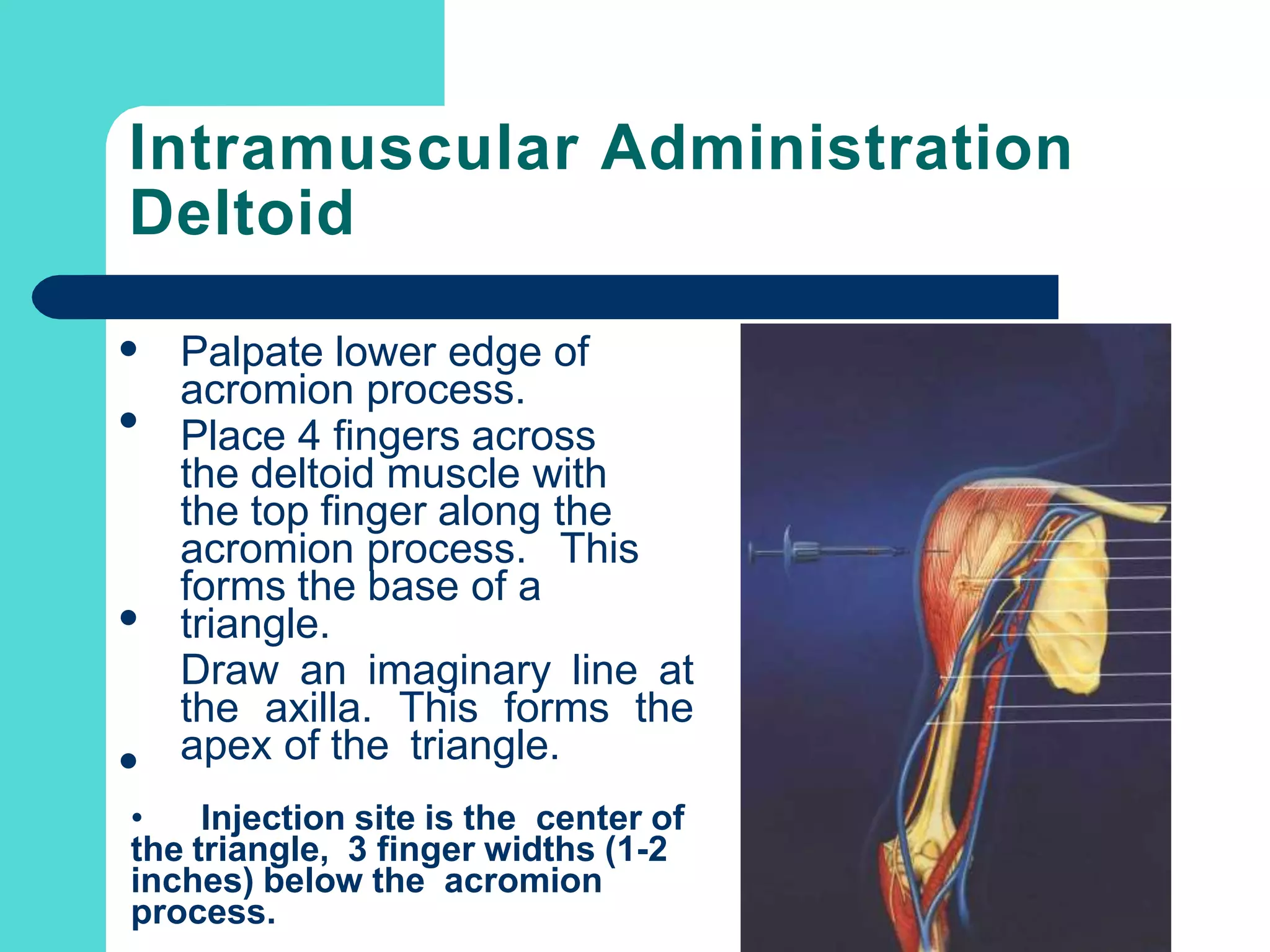 Intramuscular Administration
Deltoid



Palpate lower edge of
acromion process.
Place 4 fingers across
the deltoid muscle with
the top finger along the
acromion process. This
forms the base of a
triangle.
Draw an imaginary line at
the axilla. This forms the
apex of the triangle.
• Injection site is the center of
the triangle, 3 finger widths (1-2
inches) below the acromion
process.
 
