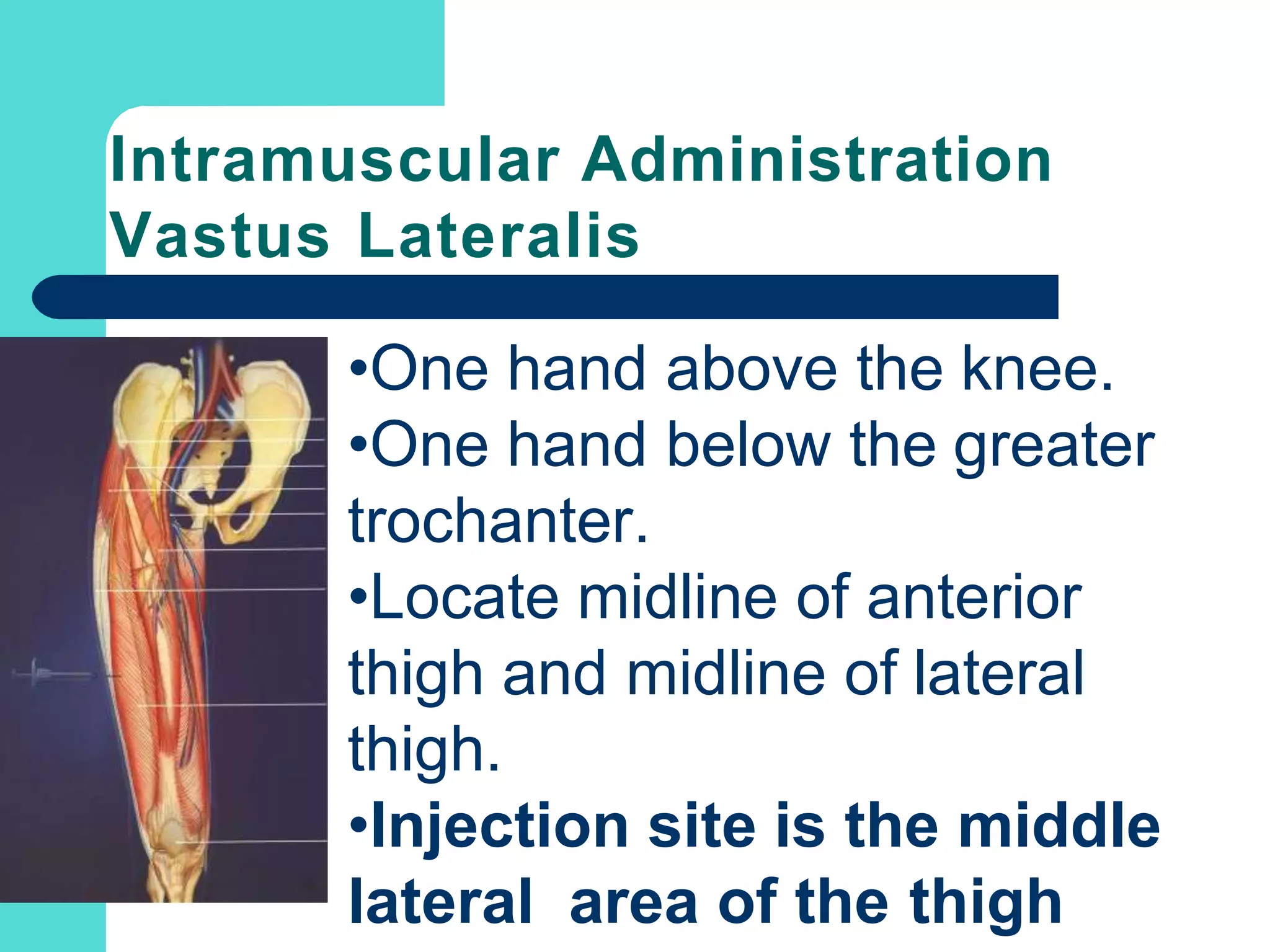 Intramuscular Administration
Vastus Lateralis
•One hand above the knee.
•One hand below the greater
trochanter.
•Locate midline of anterior
thigh and midline of lateral
thigh.
•Injection site is the middle
lateral area of the thigh
 
