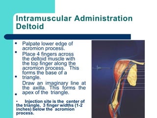 INTRAMUSCULAR ADMINISTRATION | PPTX