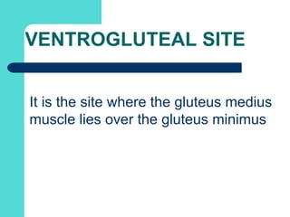 VENTROGLUTEAL SITE
It is the site where the gluteus medius
muscle lies over the gluteus minimus
 