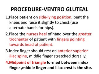 PROCEDURE-VENTRO GLUTEAL
1.Place patient on side-lying position, bent the
knees and raise it slightly to chest.(use
alternate hands for hips).
2.Place the nurses heel of hand over the greater
trochanter of patient with fingers pointing
towards head of patient.
3.Index finger should rest on anterior superior
iliac spine, middle finger stretched dorsally.
4.Midpoint of triangle formed between index
finger ,middle finger and iliac crest is the site.
 