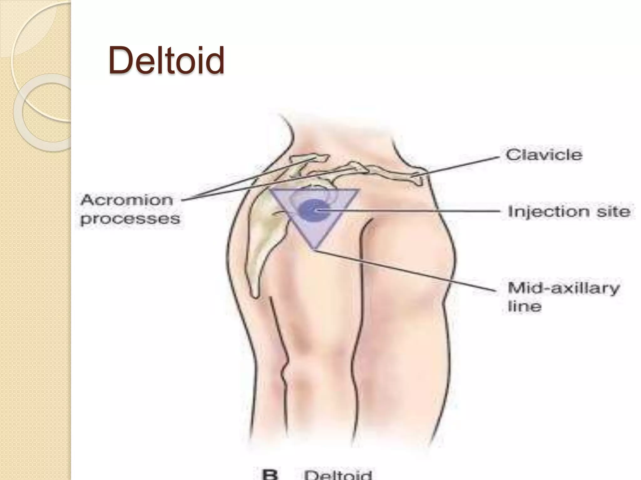 Intramuscular Injection common Sites Procedure Complications PPTX Intramuscular Injection common Sites Procedure Complications PPTX