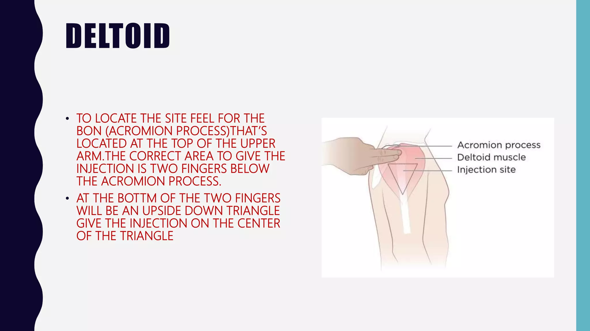 DELTOID
• TO LOCATE THE SITE FEEL FOR THE
BON (ACROMION PROCESS)THAT’S
LOCATED AT THE TOP OF THE UPPER
ARM.THE CORRECT AREA TO GIVE THE
INJECTION IS TWO FINGERS BELOW
THE ACROMION PROCESS.
• AT THE BOTTM OF THE TWO FINGERS
WILL BE AN UPSIDE DOWN TRIANGLE
GIVE THE INJECTION ON THE CENTER
OF THE TRIANGLE
 