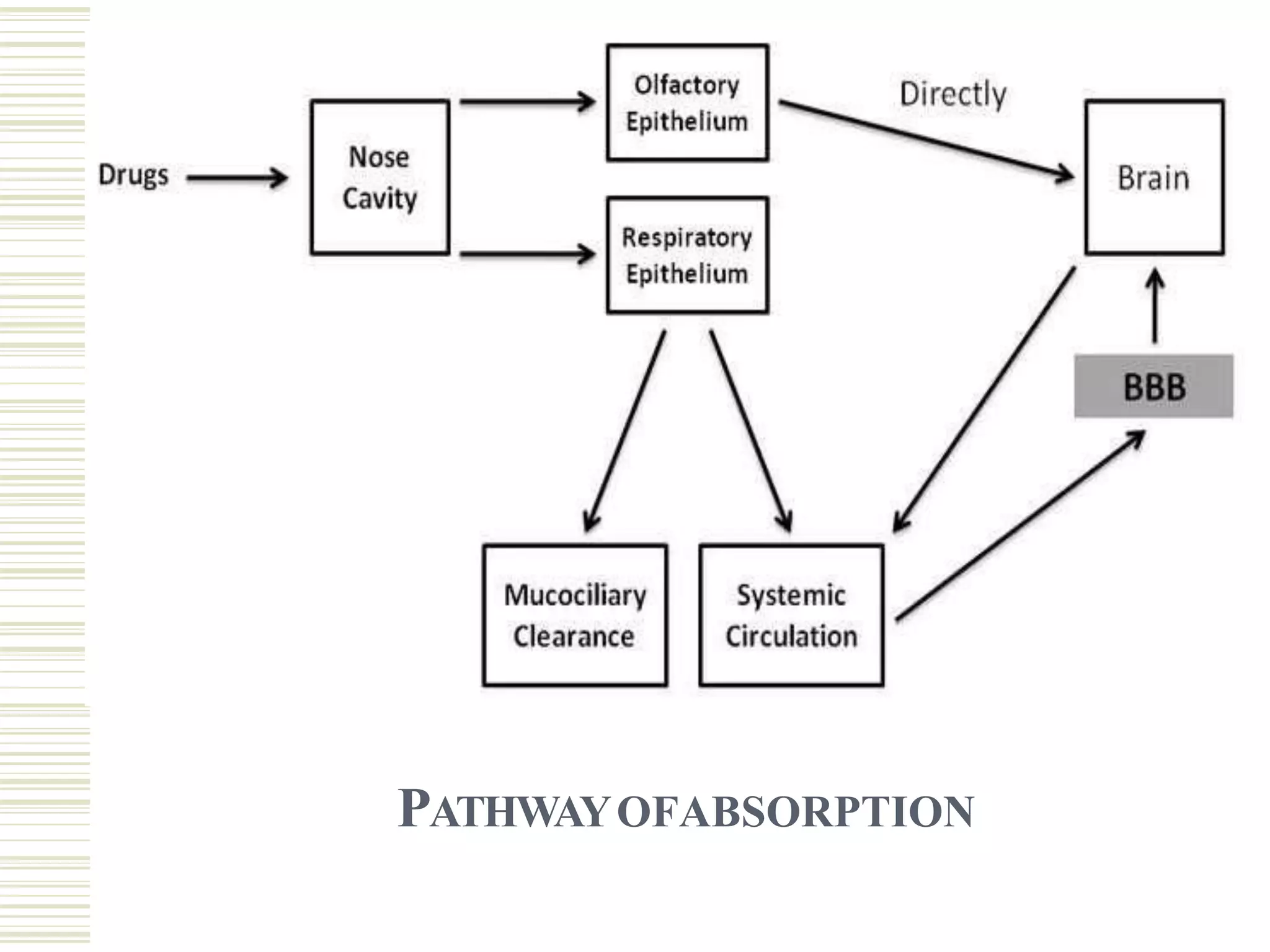 Intranasal drug delivery system | PPTX