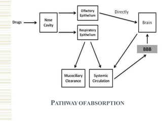 Intranasal drug delivery system | PPTX