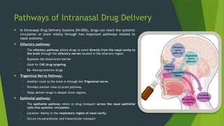 Intranasal Drug Delivery System – Overview, Pathways & Evaluation.pptx