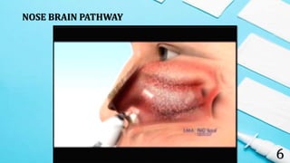 NOSE BRAIN PATHWAY
6
 