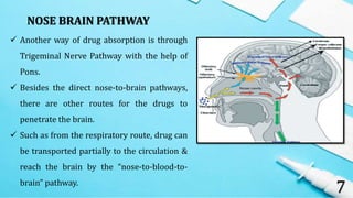 7
 Another way of drug absorption is through
Trigeminal Nerve Pathway with the help of
Pons.
 Besides the direct nose-to-brain pathways,
there are other routes for the drugs to
penetrate the brain.
 Such as from the respiratory route, drug can
be transported partially to the circulation &
reach the brain by the “nose-to-blood-to-
brain” pathway.
NOSE BRAIN PATHWAY
 