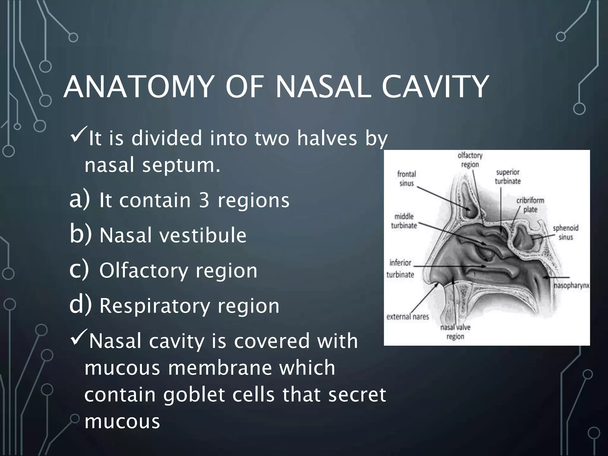 Intra Nasal Route Delivery System.pptx