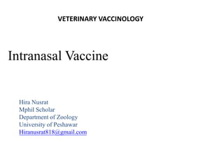 Intranasal Vaccine
Hira Nusrat
Mphil Scholar
Department of Zoology
University of Peshawar
Hiranusrat818@gmail.com
VETERINARY VACCINOLOGY
 
