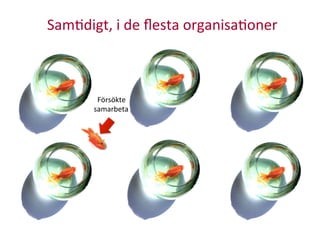 Sam:digt,	
  i	
  de	
  ﬂesta	
  organisa:oner	
  
Försökte	
  	
  
samarbeta	
  
 