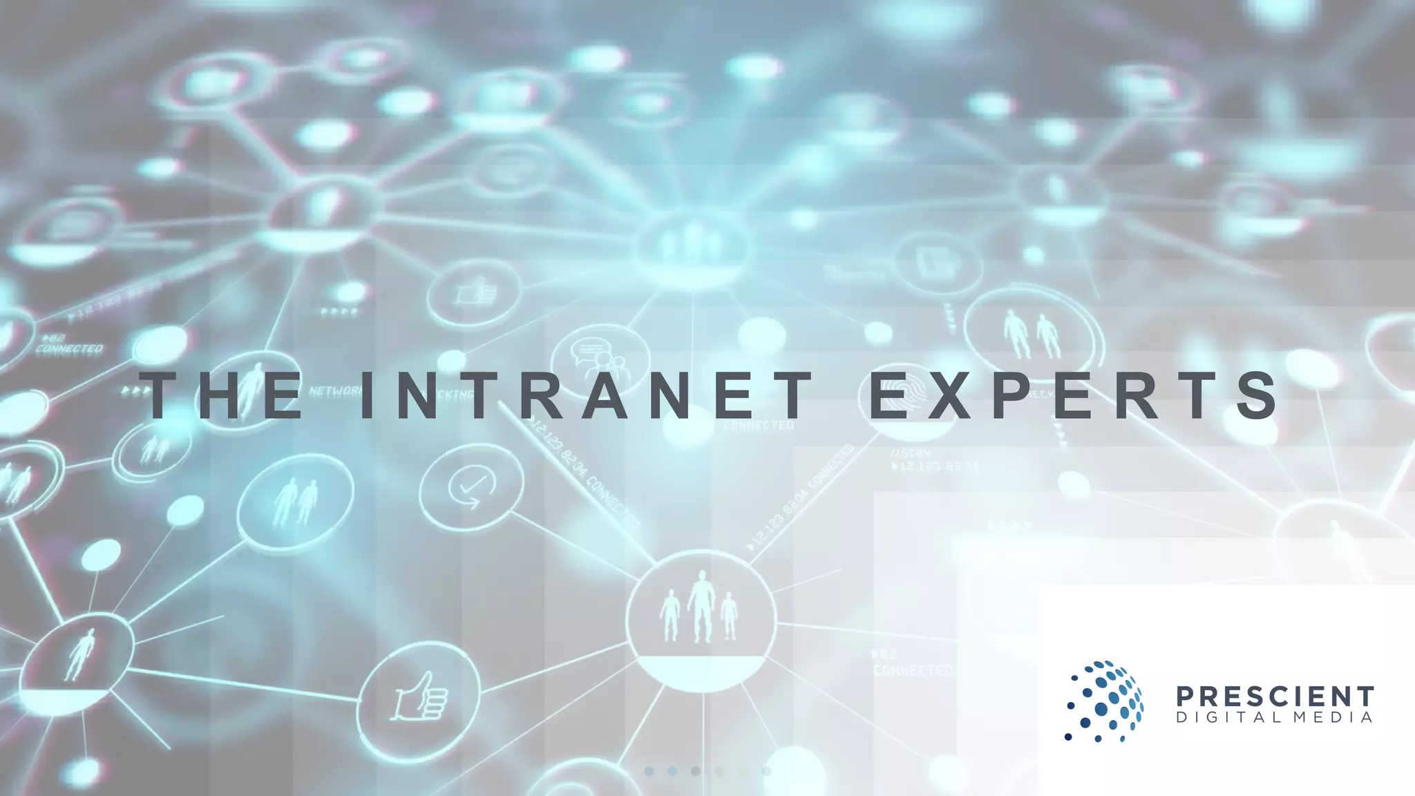 T H E I N T R A N E T E X P E R T S
 