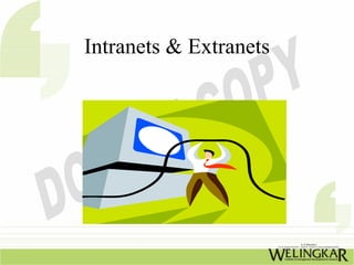 Intranets & Extranets
 