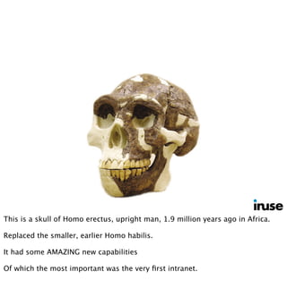 This is a skull of Homo erectus, upright man, 1.9 million years ago in Africa.
Replaced the smaller, earlier Homo habilis.
It had some AMAZING new capabilities
Of which the most important was the very ﬁrst intranet.
 