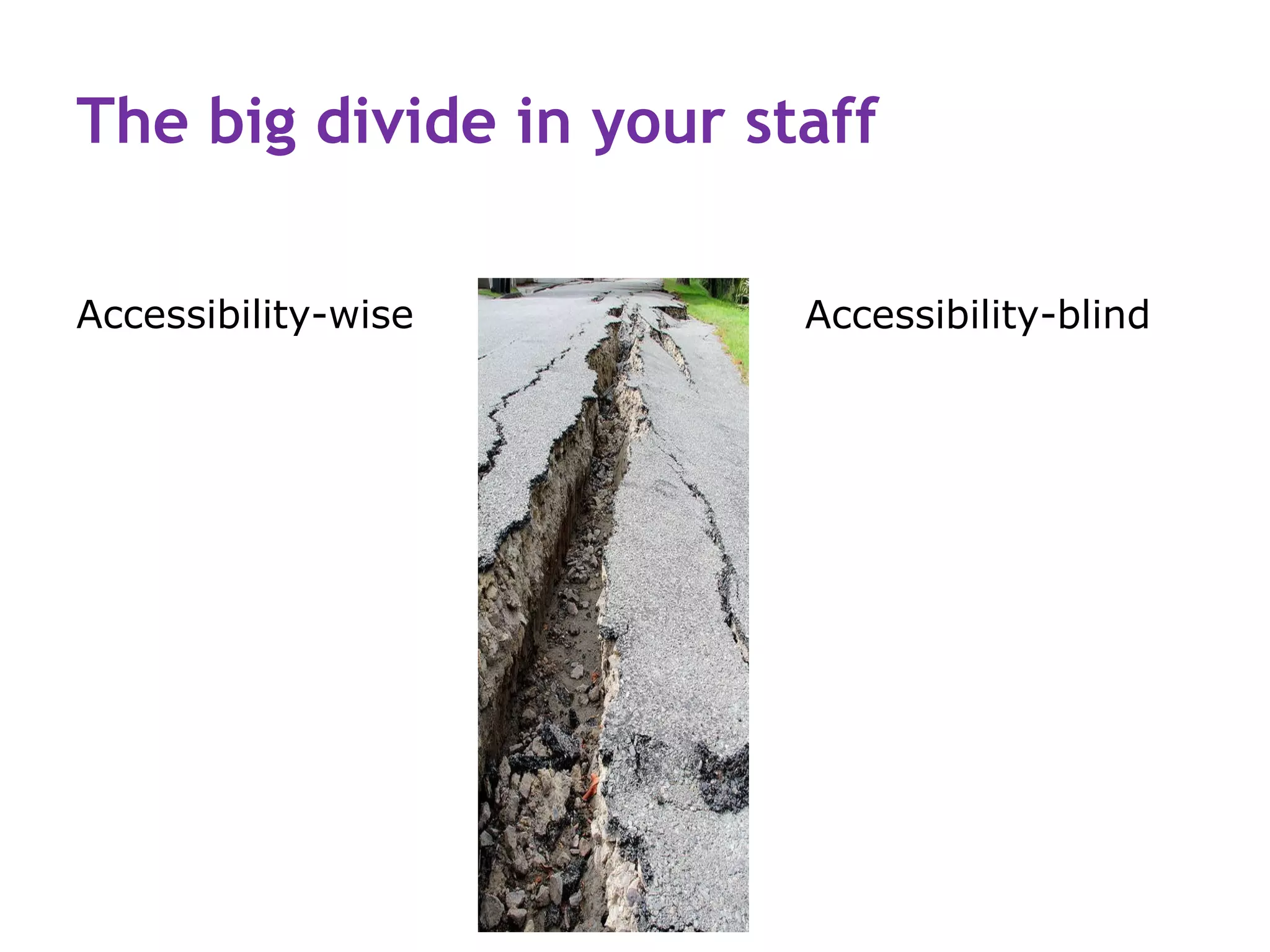 The big divide in your staff

Accessibility-wise       Accessibility-blind
 
