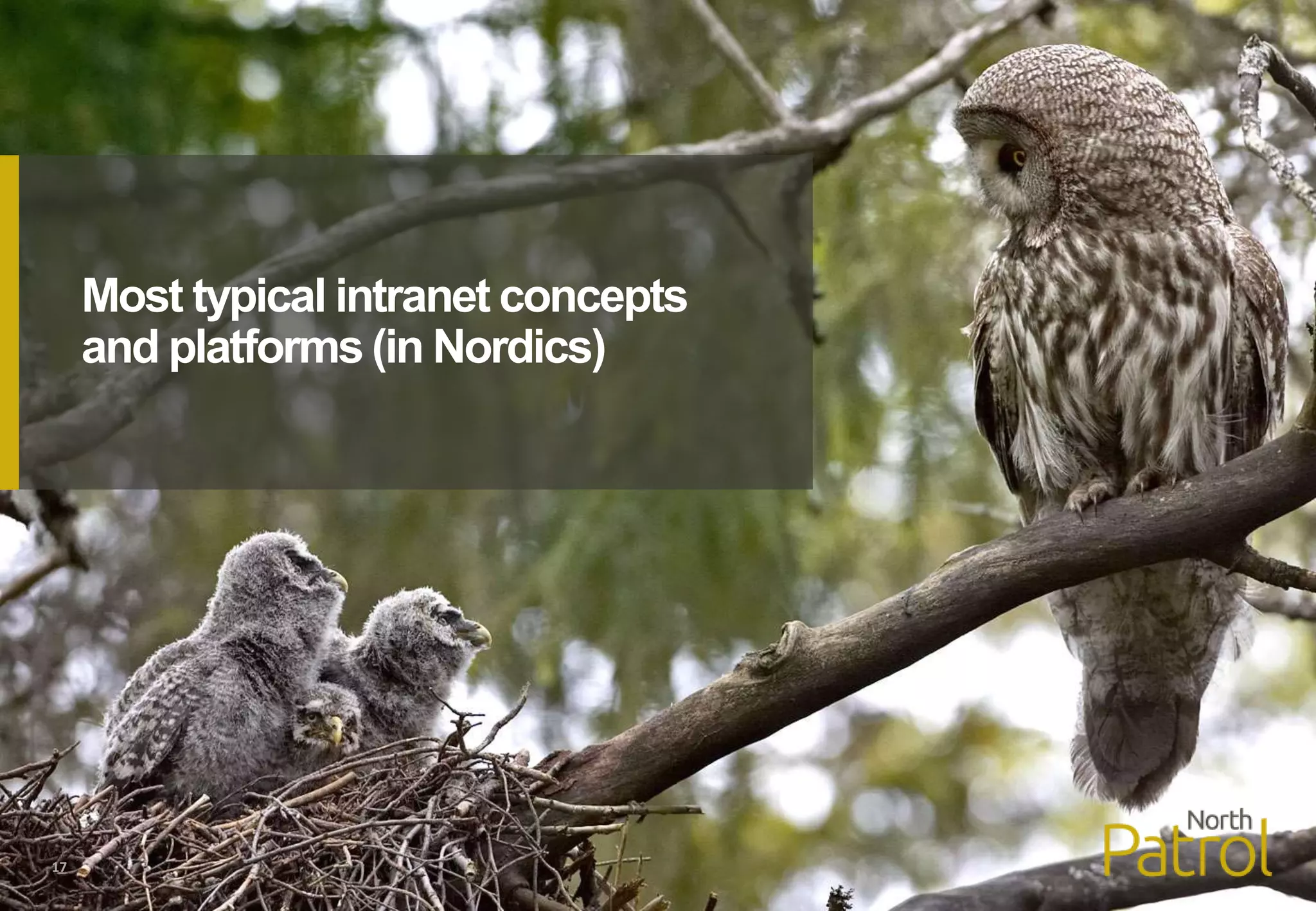 17
Most typical intranet concepts
and platforms (in Nordics)
 