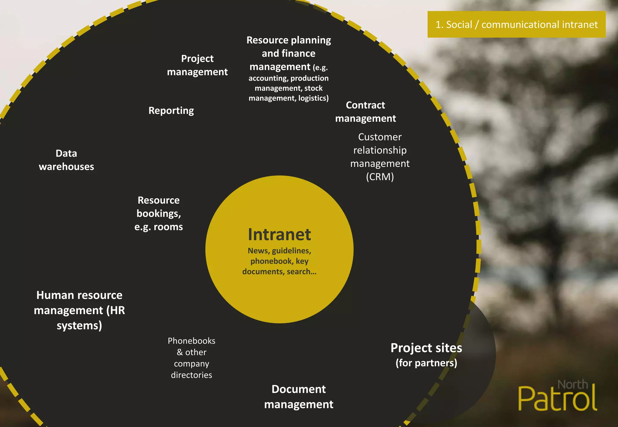 Human resource
management (HR
systems)
Phonebooks
& other
company
directories
Resource planning
and finance
management (e.g.
accounting, production
management, stock
management, logistics)
Customer
relationship
management
(CRM)
Project sites
(for partners)
Document
management
Reporting
Data
warehouses
Project
management
Contract
management
Resource
bookings,
e.g. rooms
Intranet
News, guidelines,
phonebook, key
documents, search…
1. Social / communicational intranet
 