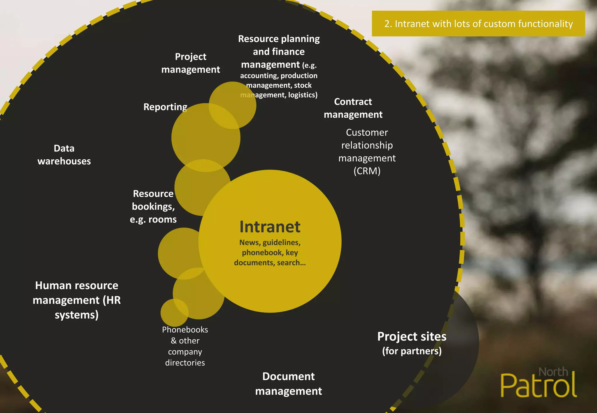 Human resource
management (HR
systems)
Phonebooks
& other
company
directories
Resource planning
and finance
management (e.g.
accounting, production
management, stock
management, logistics)
Customer
relationship
management
(CRM)
Project sites
(for partners)
Document
management
Reporting
Data
warehouses
Project
management
Contract
management
Resource
bookings,
e.g. rooms
Intranet
News, guidelines,
phonebook, key
documents, search…
2. Intranet with lots of custom functionality
 