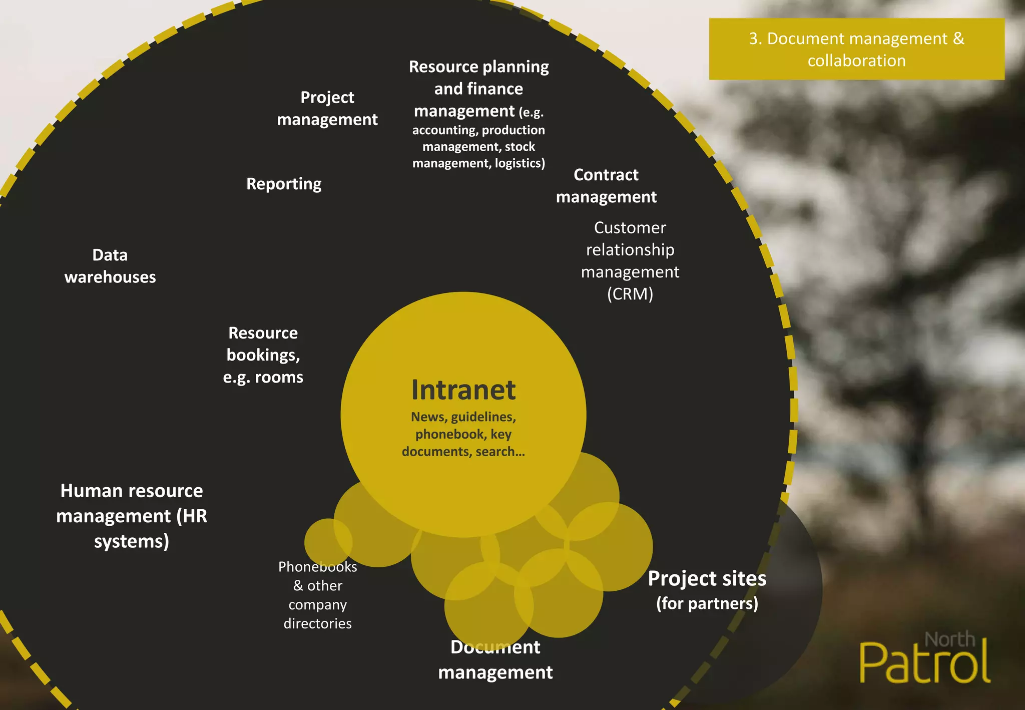 Human resource
management (HR
systems)
Phonebooks
& other
company
directories
Resource planning
and finance
management (e.g.
accounting, production
management, stock
management, logistics)
Customer
relationship
management
(CRM)
Project sites
(for partners)
Document
management
Reporting
Data
warehouses
Project
management
Contract
management
Resource
bookings,
e.g. rooms
Intranet
News, guidelines,
phonebook, key
documents, search…
3. Document management &
collaboration
 