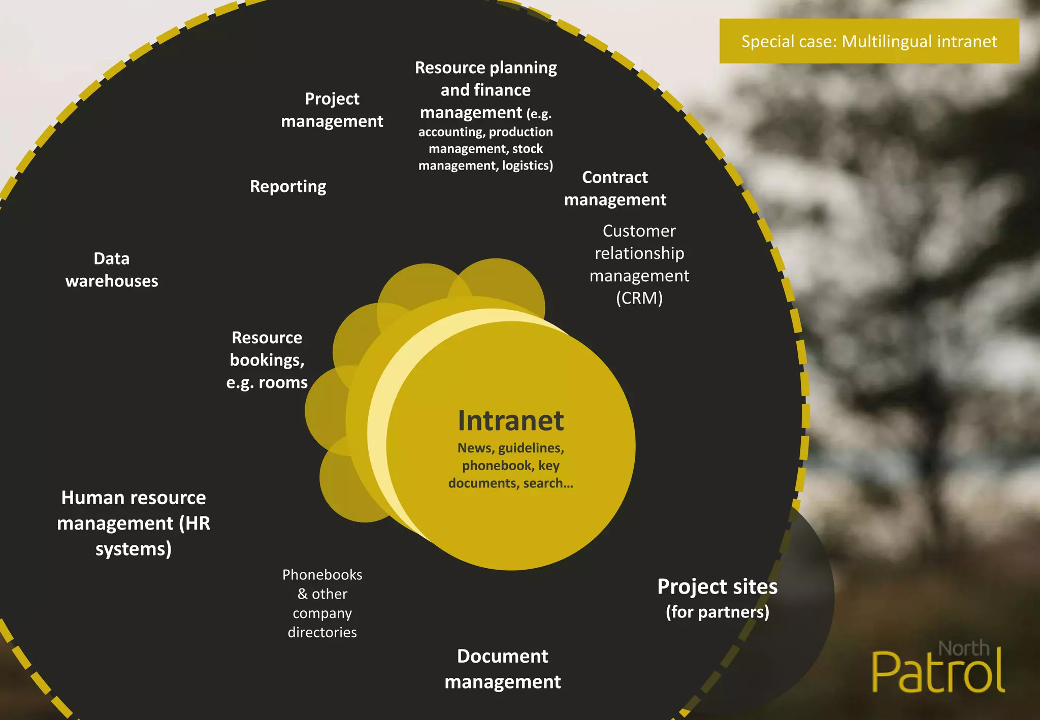 Human resource
management (HR
systems)
Phonebooks
& other
company
directories
Resource planning
and finance
management (e.g.
accounting, production
management, stock
management, logistics)
Customer
relationship
management
(CRM)
Project sites
(for partners)
Document
management
Reporting
Data
warehouses
Project
management
Contract
management
Resource
bookings,
e.g. rooms
Intranet
News, guidelines,
phonebook, key
documents, search…
Intranet
News, guidelines,
phonebook, key
documents, search…
Intranet
News, guidelines,
phonebook, key
documents, search…
Special case: Multilingual intranet
 