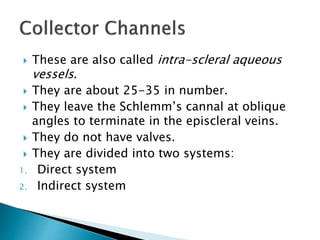  These are also called intra-scleral aqueous
vessels.
 They are about 25-35 in number.
 They leave the Schlemm’s cannal at oblique
angles to terminate in the episcleral veins.
 They do not have valves.
 They are divided into two systems:
1. Direct system
2. Indirect system
 