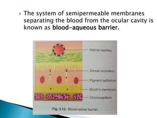  The system of semipermeable membranes
separating the blood from the ocular cavity is
known as blood-aqueous barrier.
 