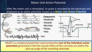 Intraoperative Electromyography (EMG) | PPTX