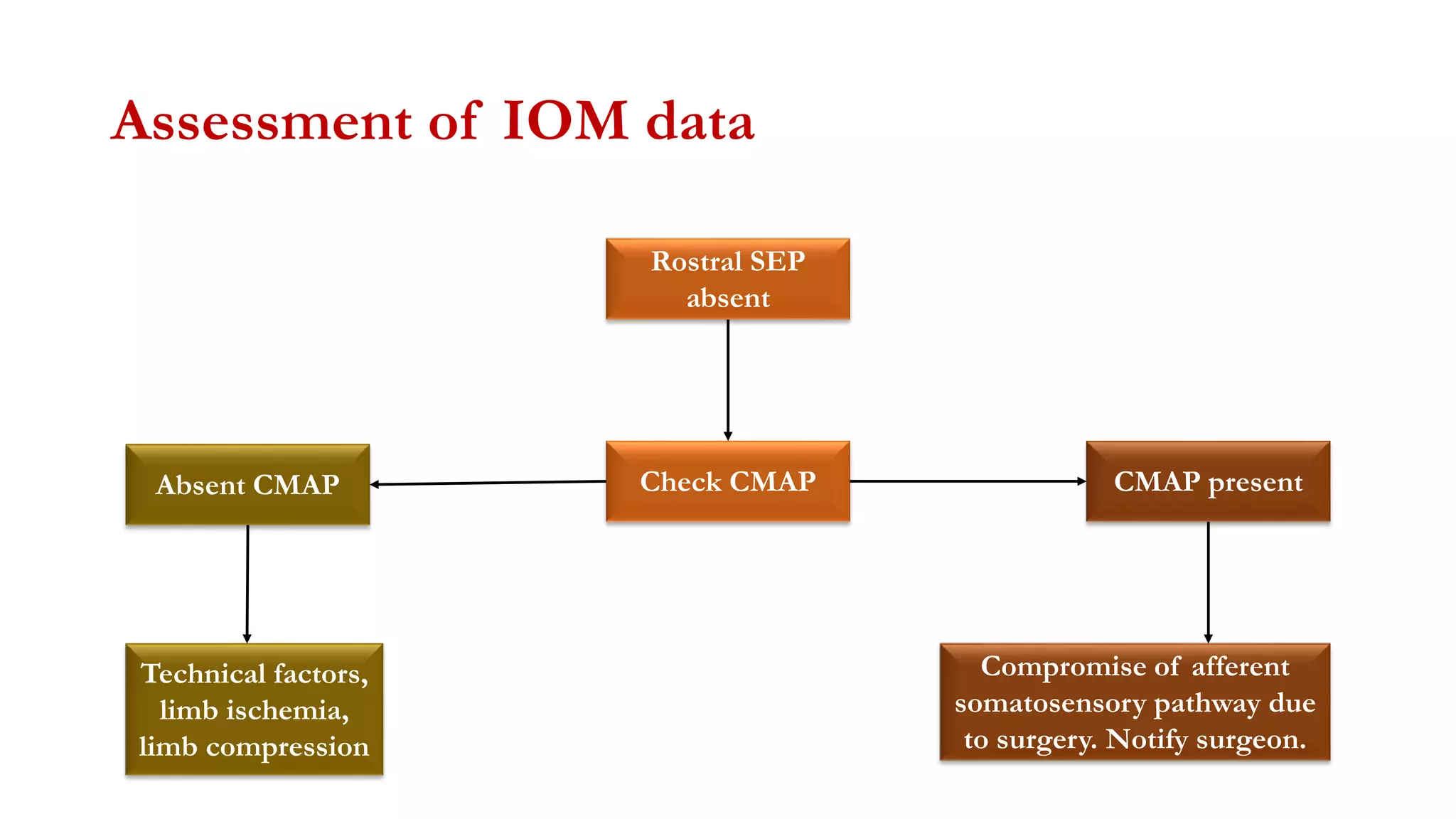 Assessment of IOM data
Rostral SEP
absent
Check CMAP CMAP presentAbsent CMAP
Compromise of afferent
somatosensory pathway due
to surgery. Notify surgeon.
Technical factors,
limb ischemia,
limb compression
 