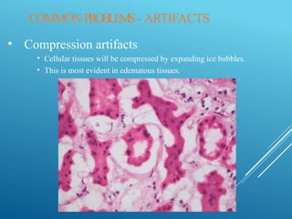Comprehensive Guide to Intraoperative Histology and Cytology Techniques ...